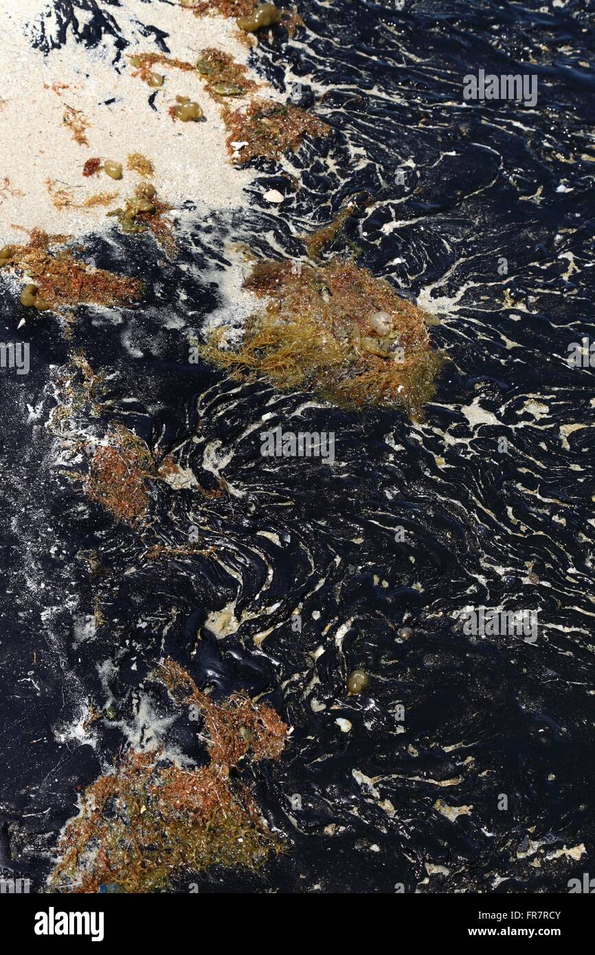 Fuoriuscita di olio solidifica dopo anni di contaminazione Foto Stock