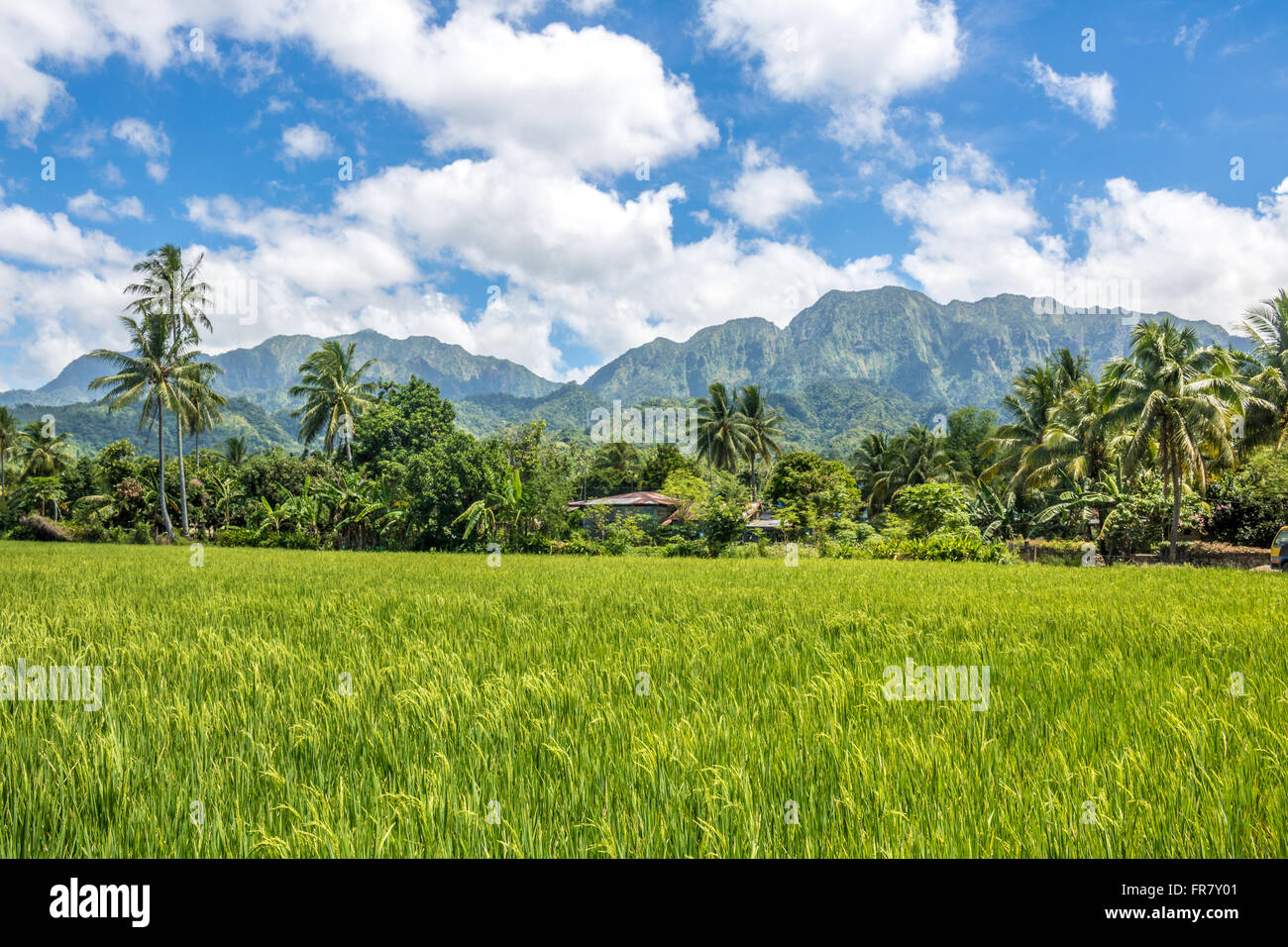 Filippine Leyte Baybay bellissimo paesaggio vicino la città portuale di Baybay Adrian Baker Foto Stock