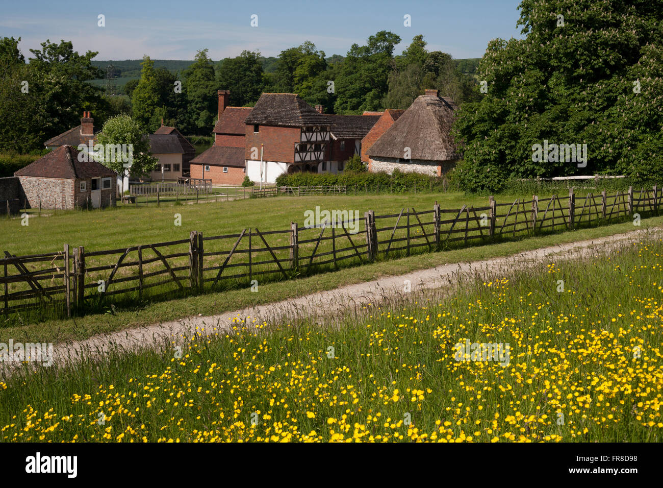 Weald & Downland Open Air Museum.Singleton,West Sussex , in Inghilterra. Foto Stock