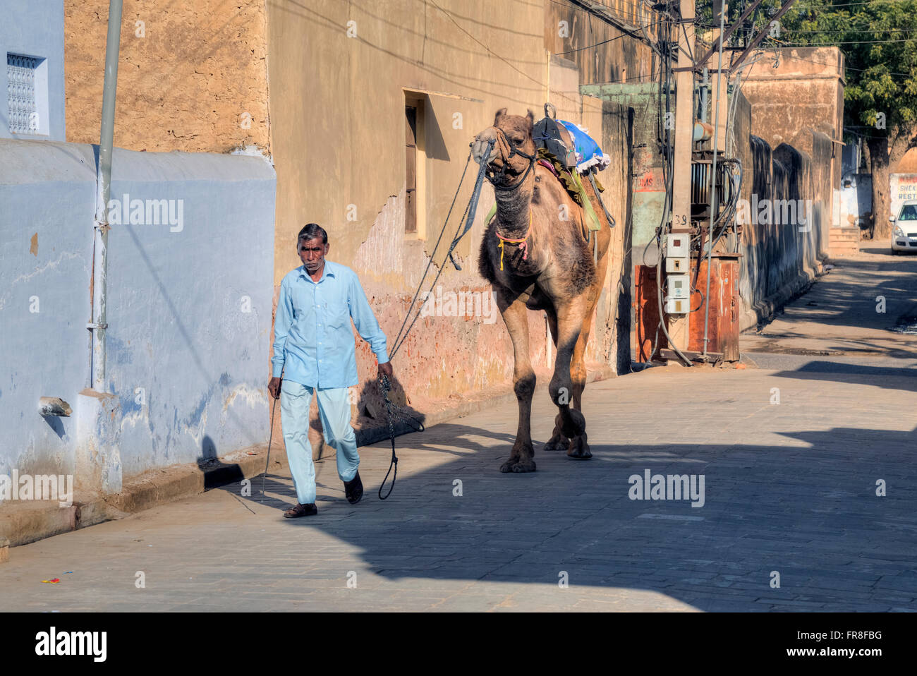 Scena di strada con il camel in Mandawa, Jhunjhunu, Rajasthan, India, Asia Foto Stock