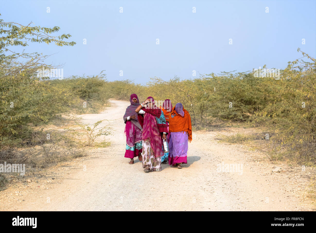 Le donne sul loro modo di lavorare attraverso la campagna nei pressi di Jodhpur, India Foto Stock