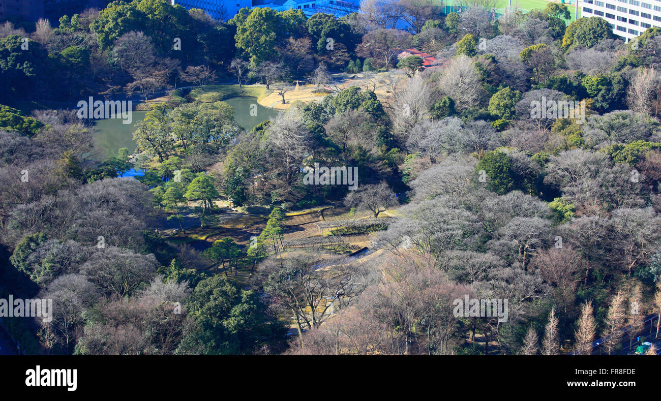 Giappone, Tokyo Koishikawa Korakuen giardino, vista aerea, Foto Stock
