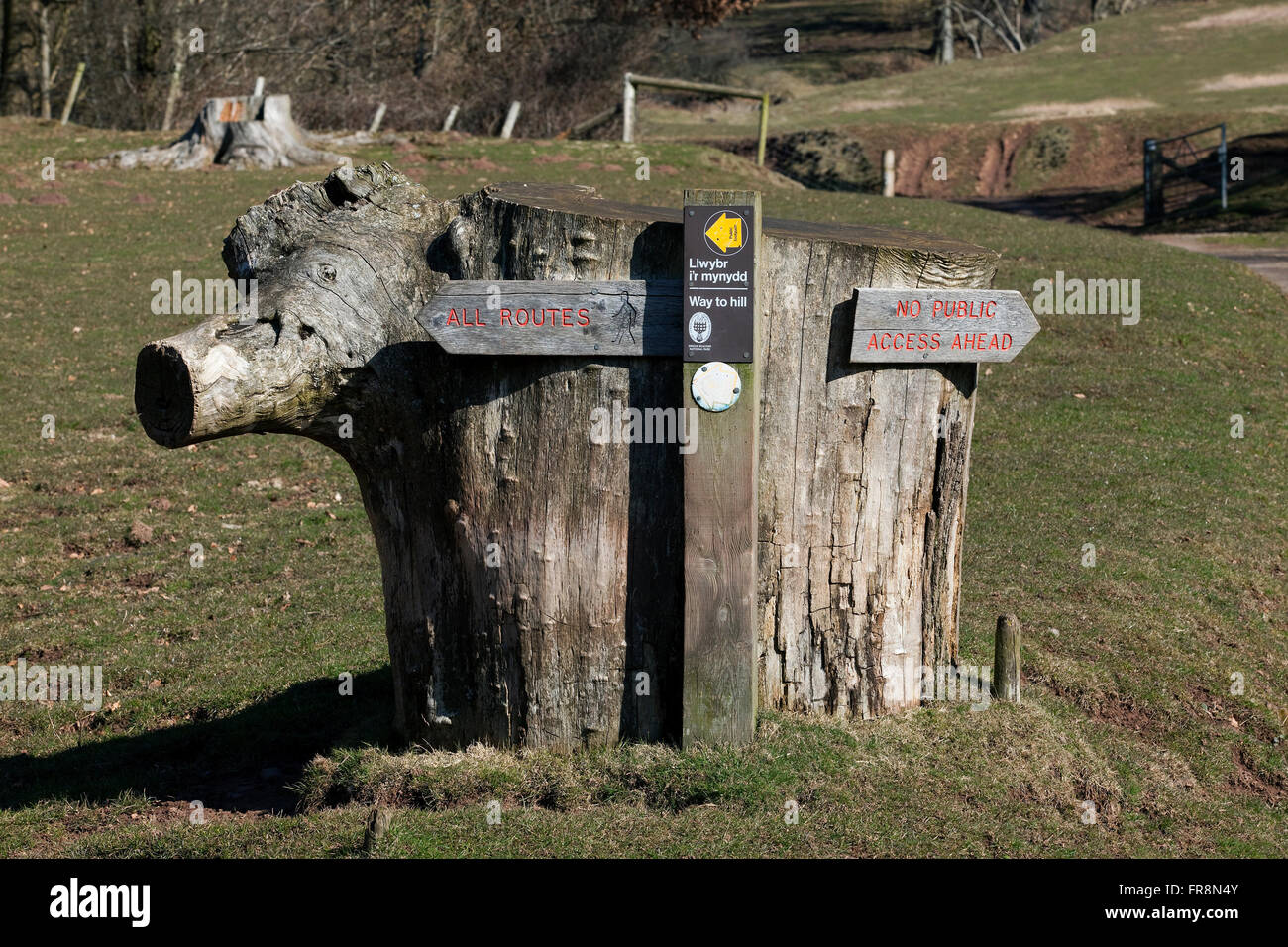 Ceppo di albero cartello nei pressi di Llanthony Priory Montagna Nera Foto Stock