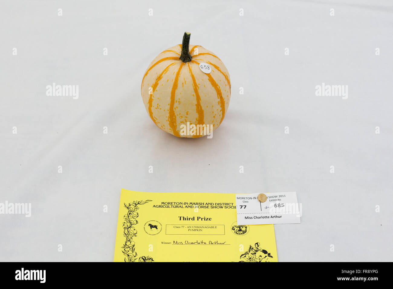 Vincitore del premio zucche in mostra al paese mostrano in Gloucestershrie, UK. Foto Stock
