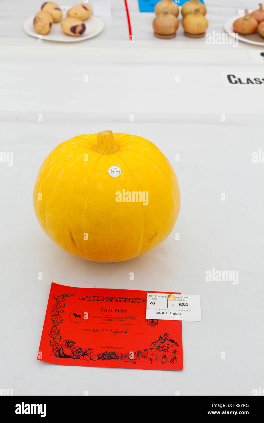 Vincitore del premio zucche in mostra al paese mostrano in Gloucestershrie, UK. Foto Stock