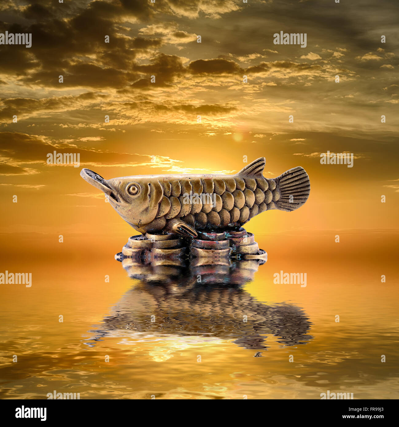 Il Feng Shui sfondo. Silver arowana è riflessa in acqua a sunrise Foto Stock