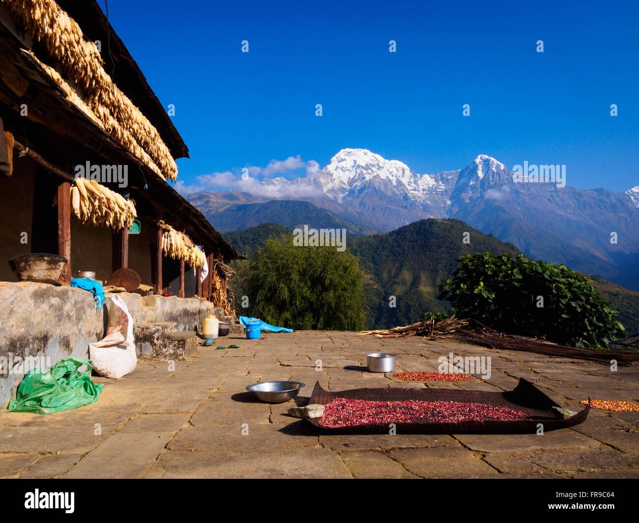 Tradizionale casa Gurung e pietra-cortile pavimentato in Ghandruk village, Annapurnas, Nepal Foto Stock