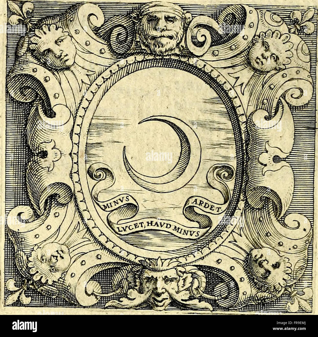 Quest'opera del 1586 presenta illustri lavori di vari soggetti, accompagnati da discorsi di Camillo Camilli e incisioni di Girolamo Porro Padouano, che offrono una visione dell'arte rinascimentale e della cultura intellettuale. Foto Stock