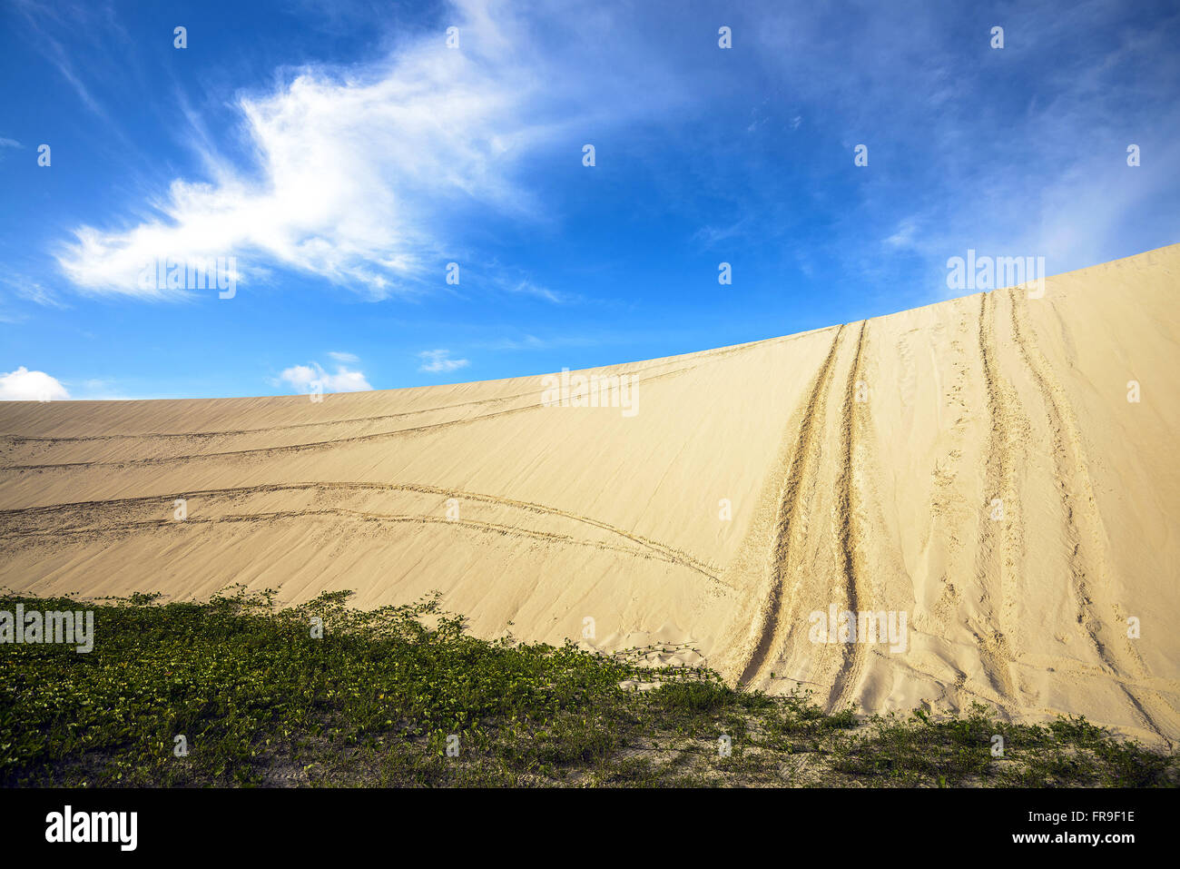 Le dune di sabbia con tracce di pneumatici di carrozina per bambini nel Parco Nazionale di Jericoacoara Foto Stock
