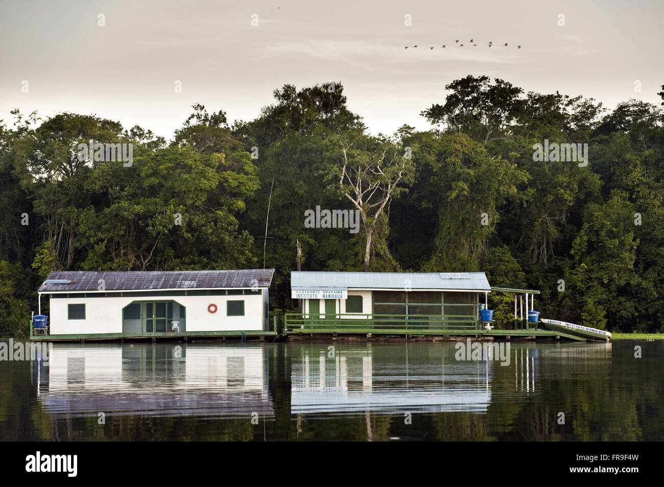 Floating le basi di uno sviluppo sostenibile Istituto Mamiraua e Amana Foto Stock