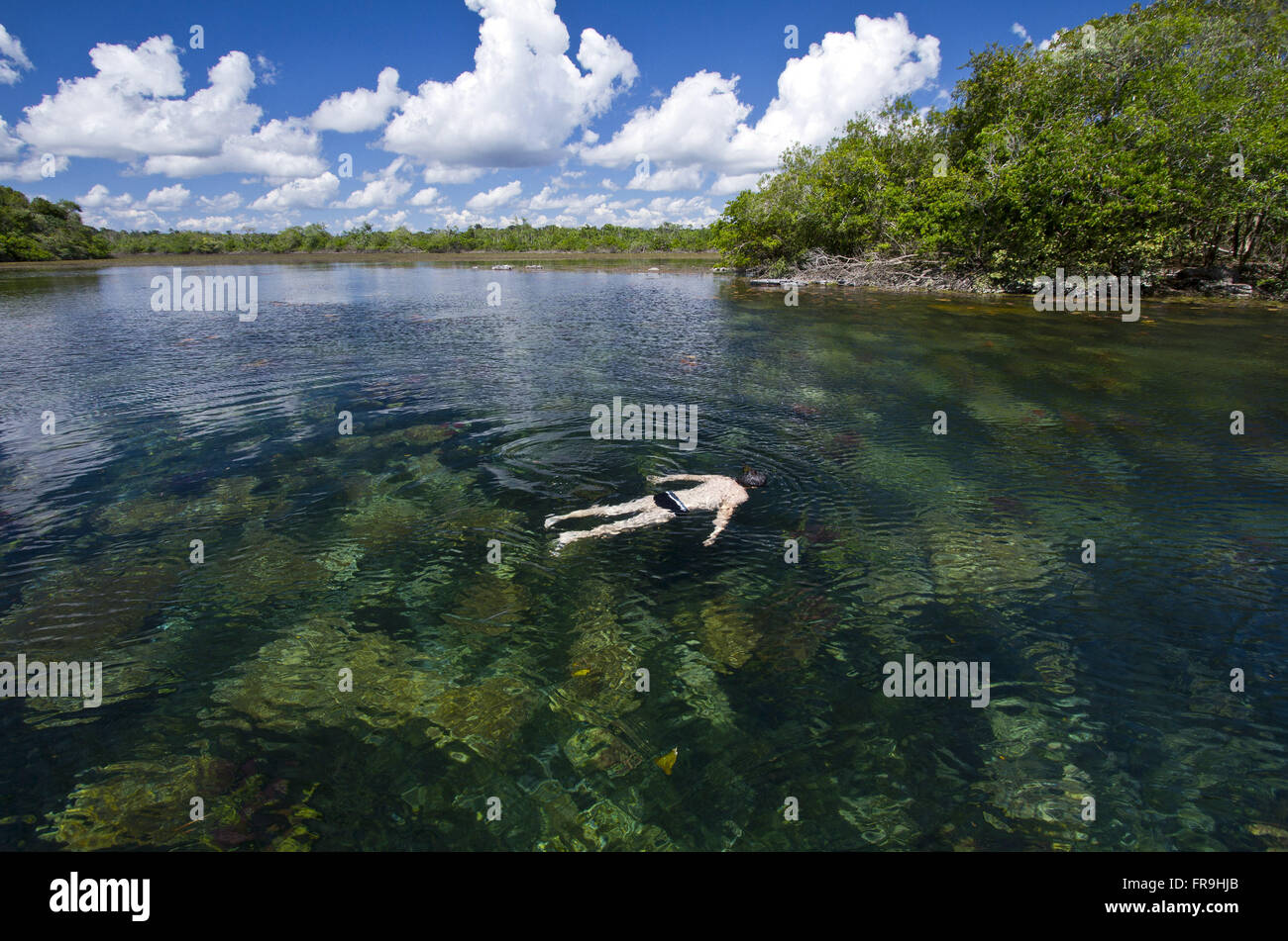 Persona di immersioni in laguna blu nella riserva indigena Kayabi - tribù Caiabi Foto Stock
