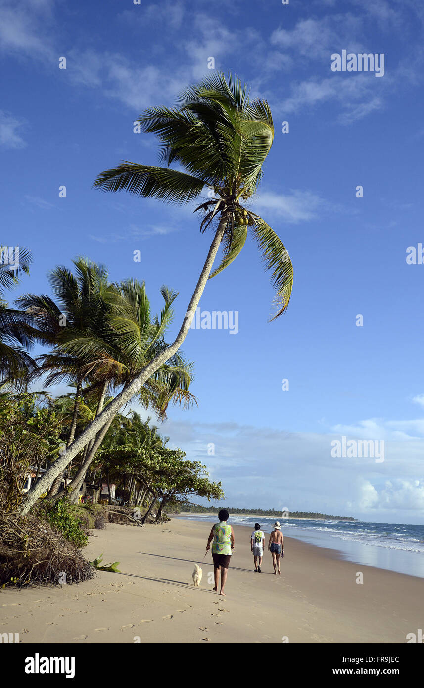 La gente camminare sulla spiaggia di cotoni - Penisola di Marau Foto Stock