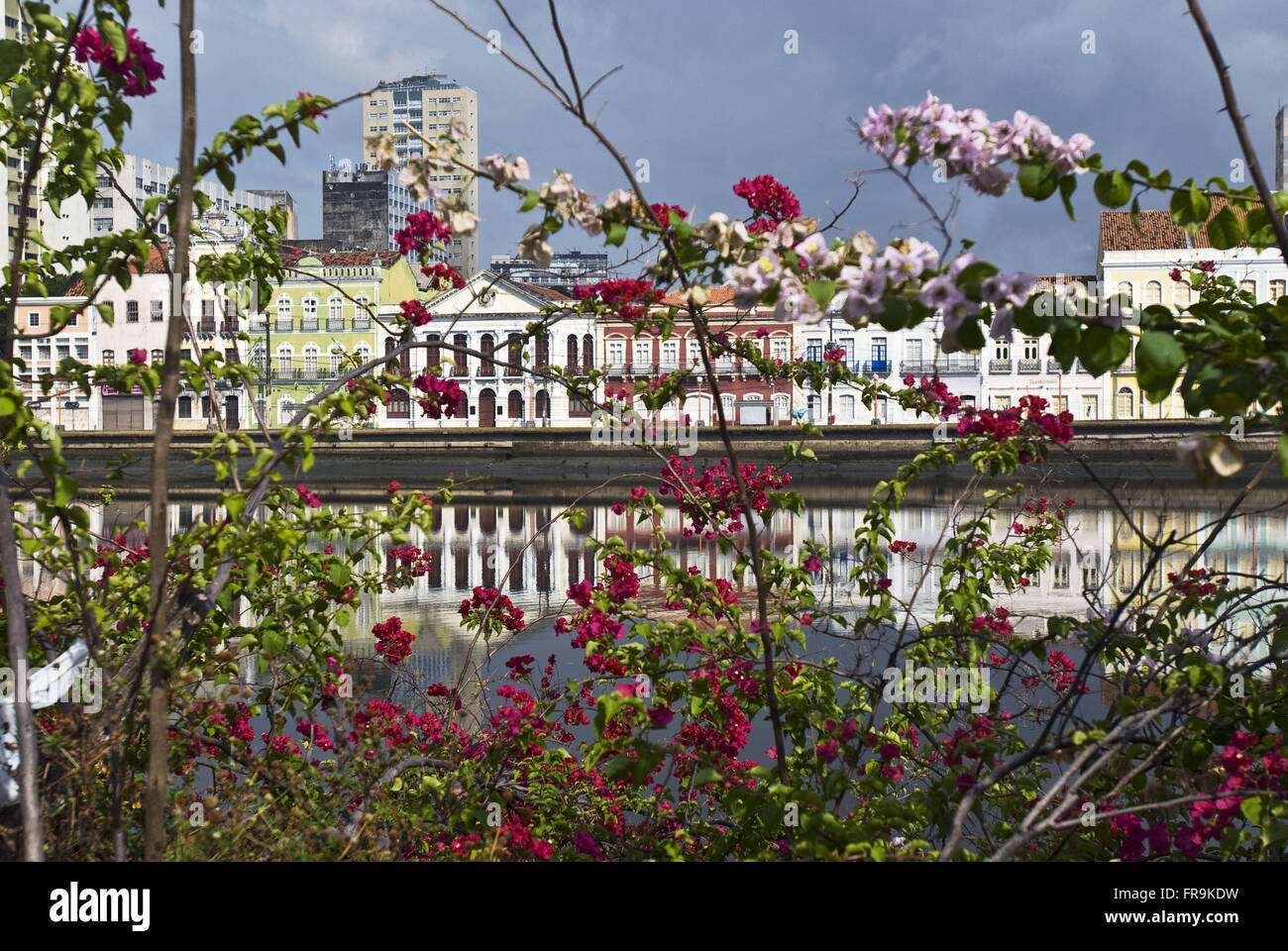 Rio Capiberibe visto dalla florida tree - le vecchie case in fondo alla strada in Aurora Recife - PE Foto Stock