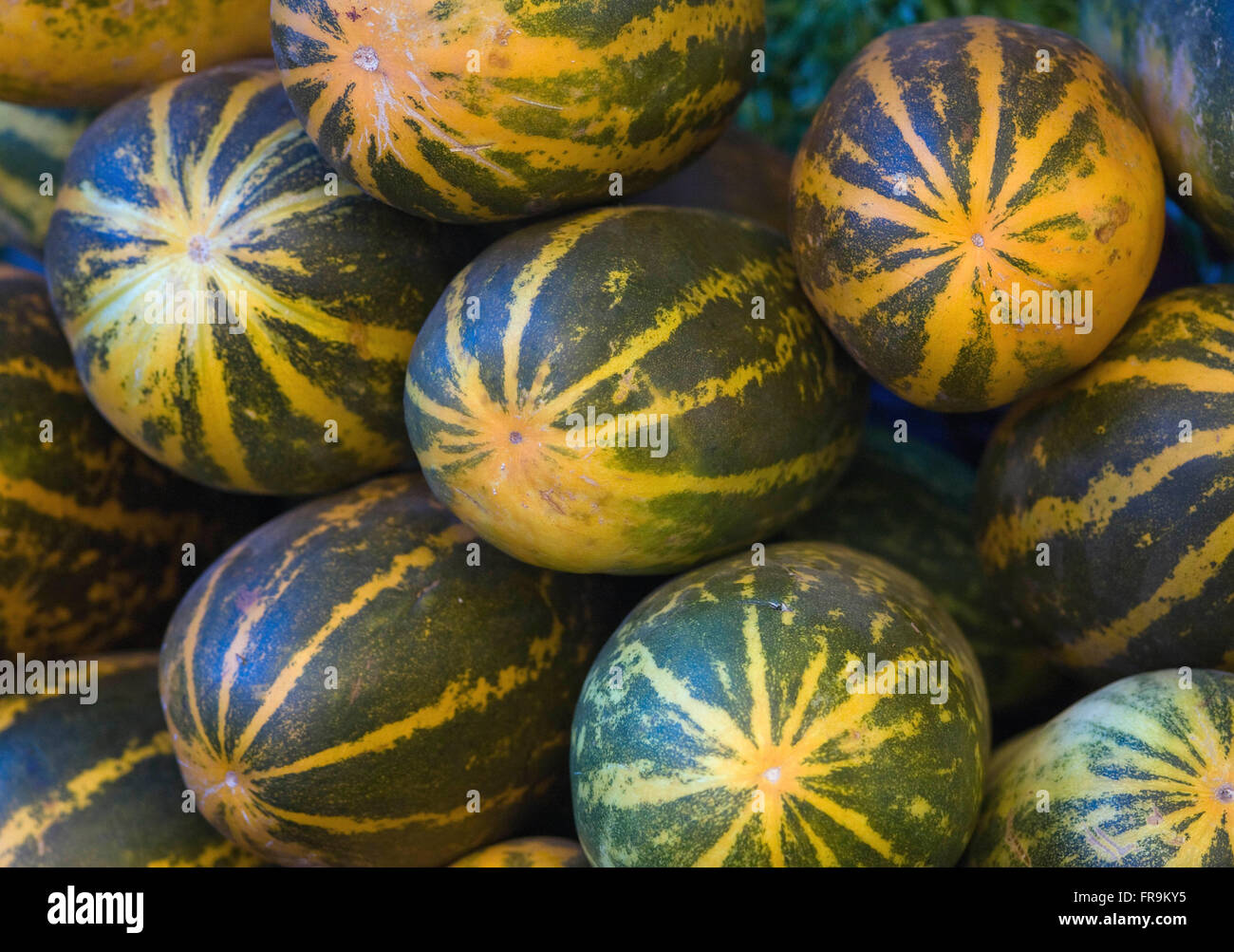 Asia, India, Karnataka, Madikeri, cetrioli su un mercato Foto Stock