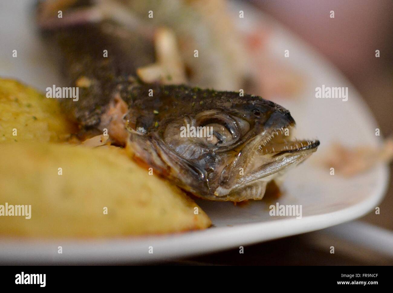 pesce su un piatto Foto Stock