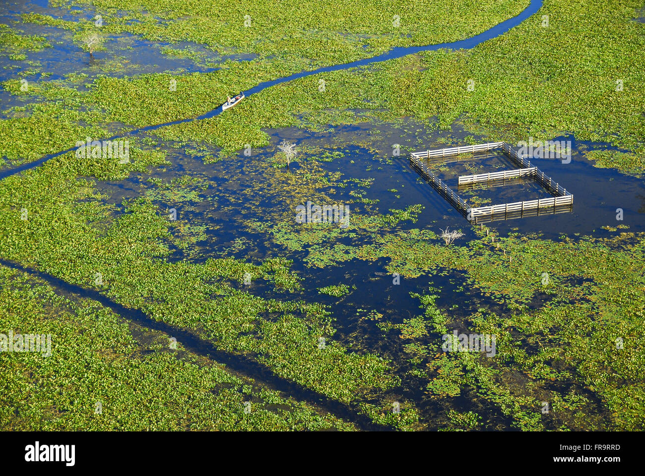 Vista aerea della fattoria allagata corral il periodo delle piogge - Pantanal del Barao de Melgaco Foto Stock