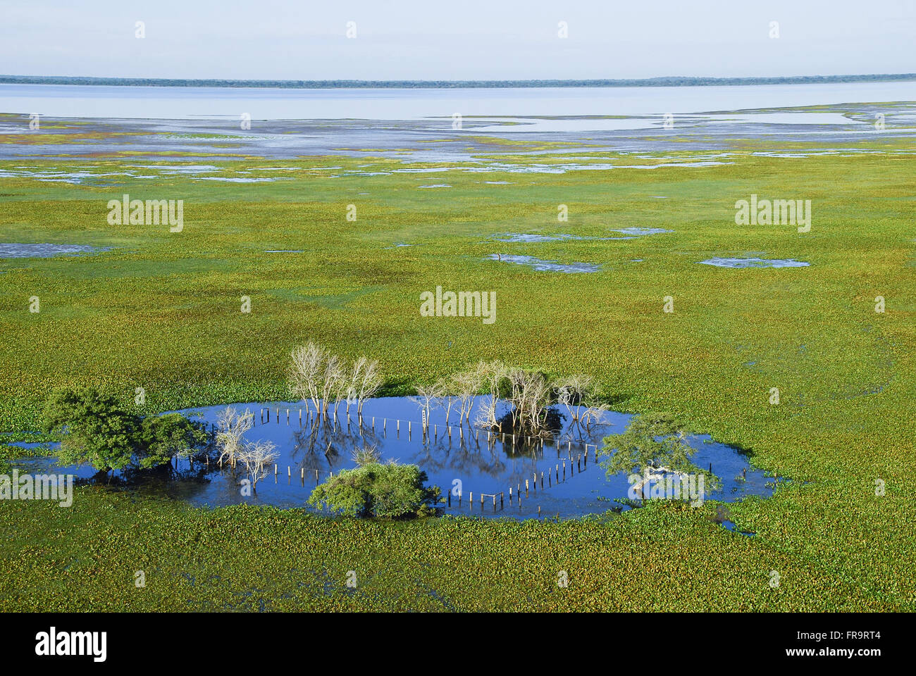 Vista aerea della farm inondato dal periodo di piogge - Pantanal del Barao de Melgaco Foto Stock