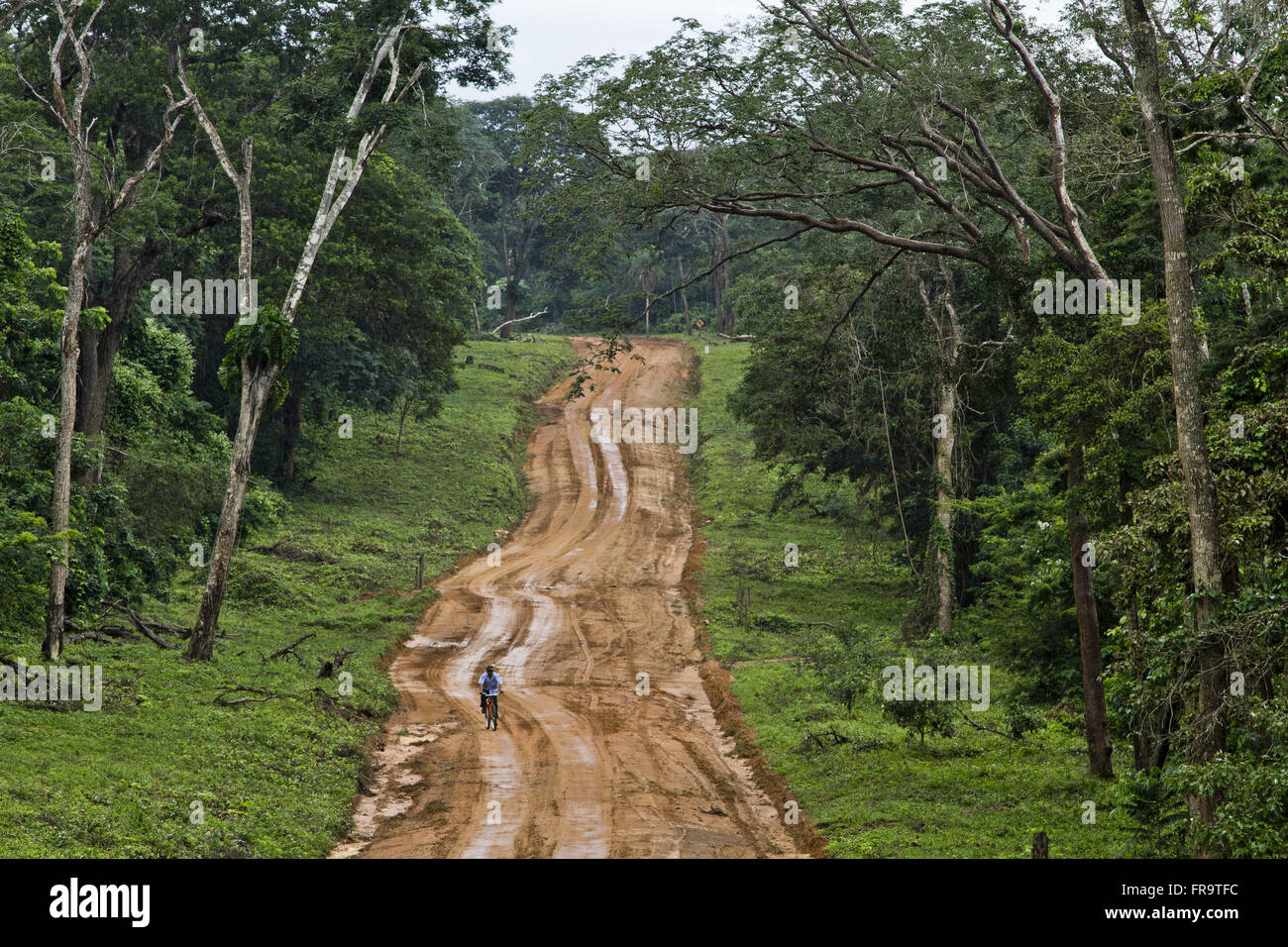 Ciclista su strada terra vicino al confine con il Mato Grosso Foto Stock
