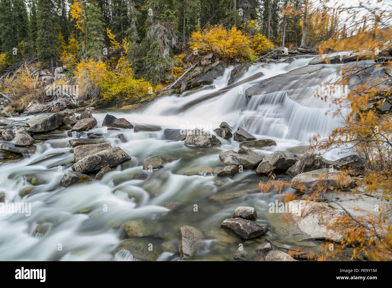 Autunno scenic di lontra Falls, Yukon Territory, Canada Foto Stock