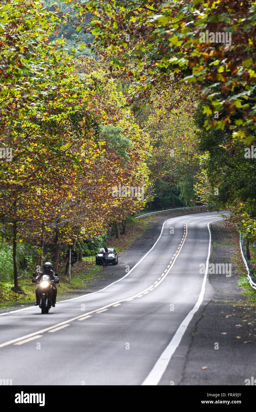 Motociclo viaggia sull'autostrada BR-116 in Serra Gaucha Foto Stock