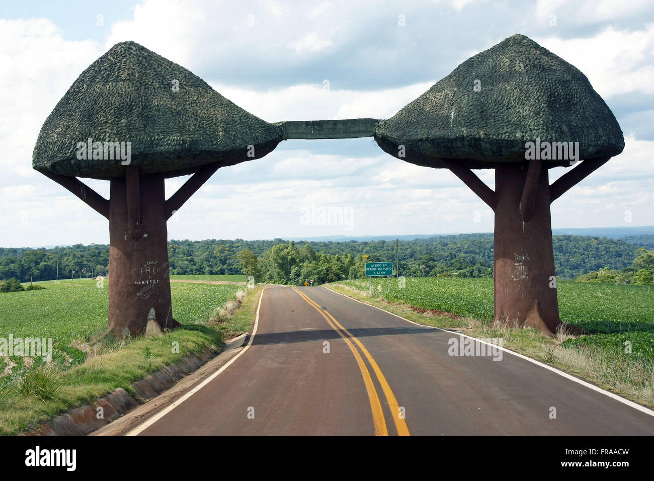 Stilizzata di alberi formano il portico del oscuro parco dello stato Foto Stock
