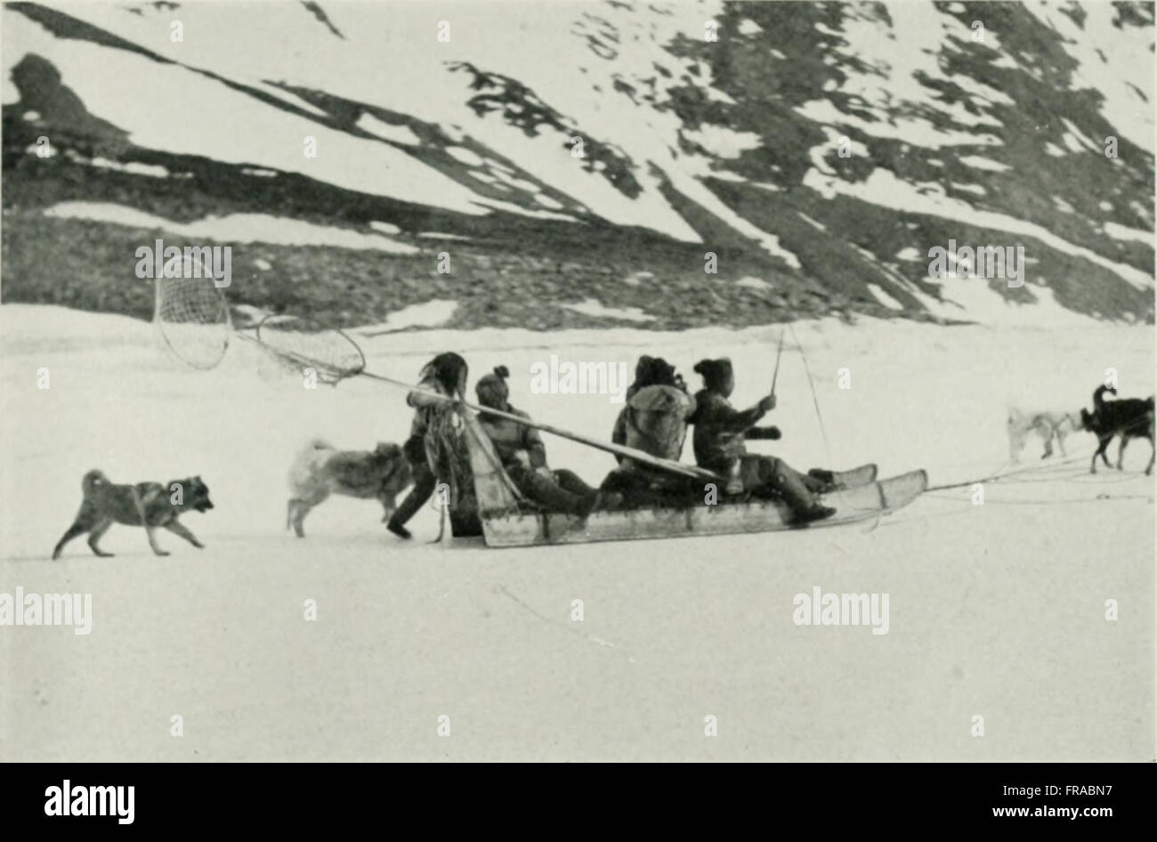 L'American Museum Journal (1900-1918) è una pubblicazione storica che documenta scoperte scientifiche, mostre culturali e collezioni museali all'inizio del XX secolo. Il giornale fornisce informazioni sulle tendenze intellettuali e sulle pratiche museali dell'epoca. Foto Stock