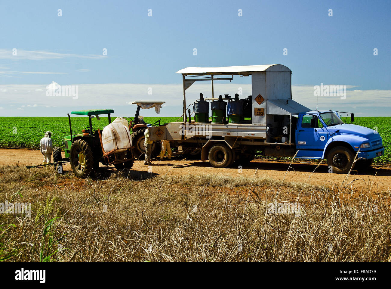Macchine agricole per il raccolto di semi di soia in campagna Foto Stock
