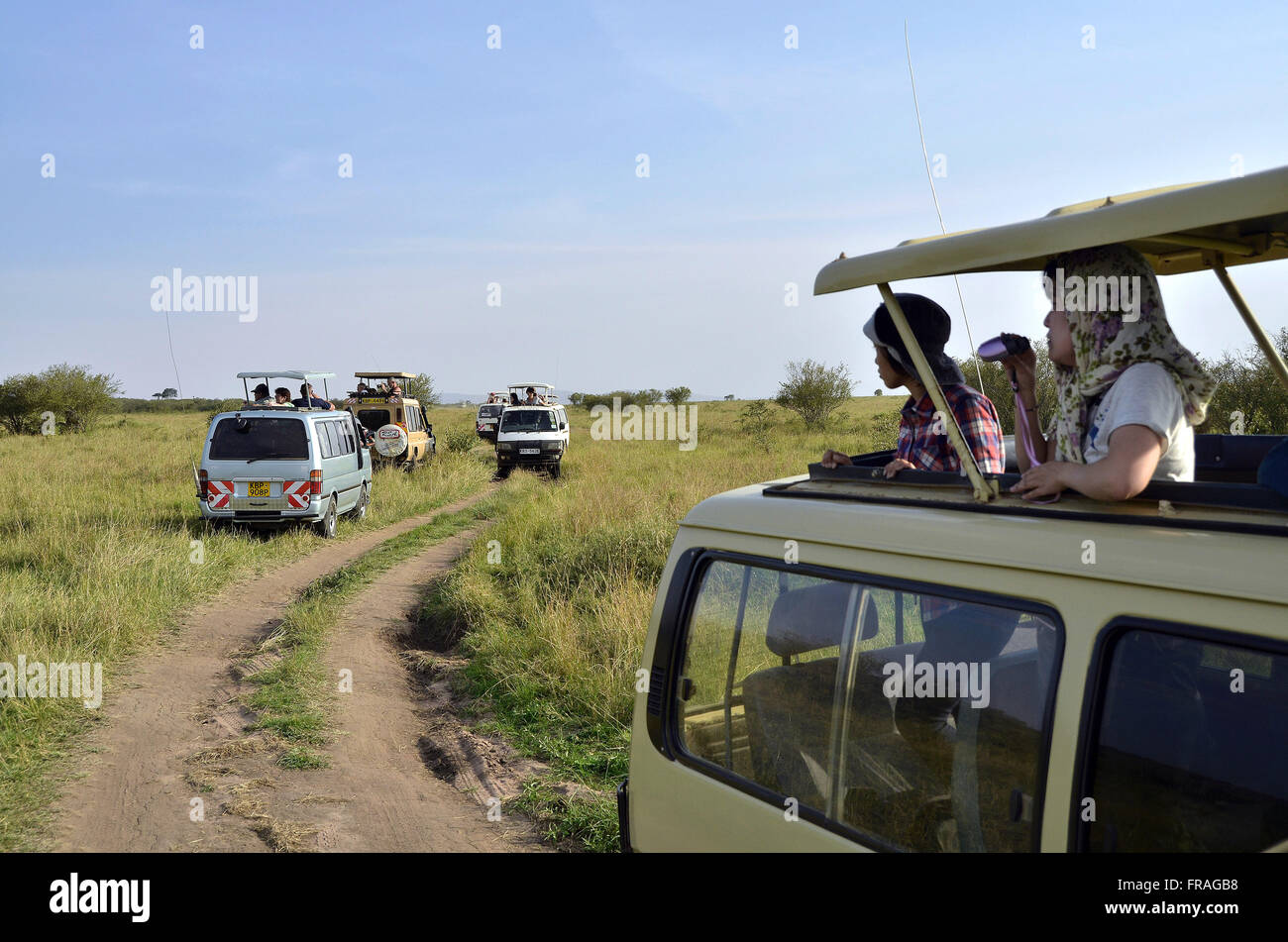 Furgoni con i turisti su safari nella savana africana osservazione in Masai Mara riserva nazionale Foto Stock