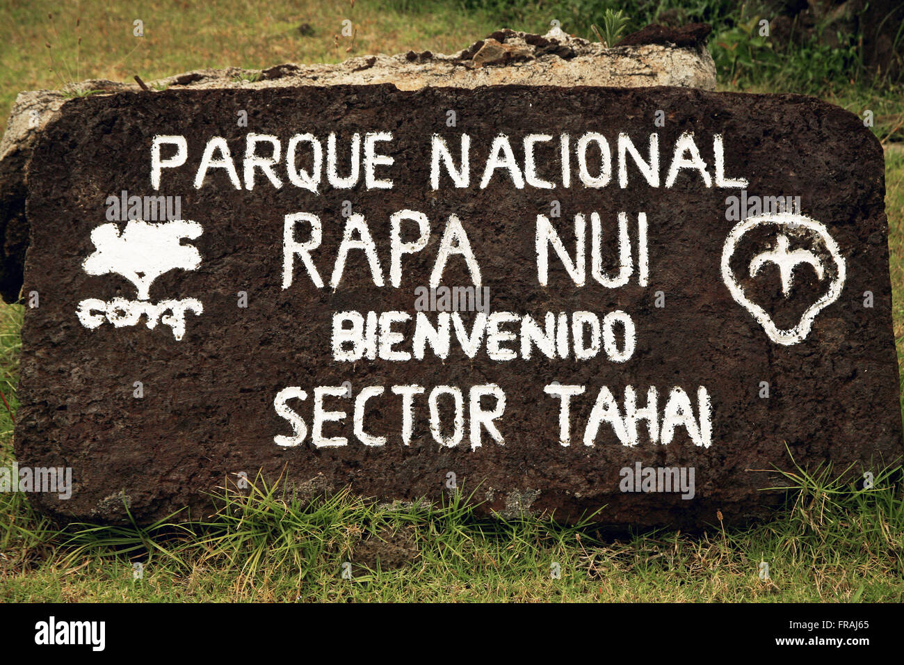 Dettaglio della roccia con guida per l'industria Tahai il Parco Nazionale di Rapa Nui Isola di Pasqua Foto Stock