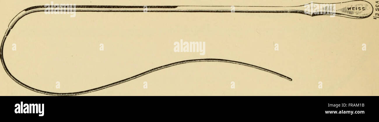 Questo testo clinico del 1901 si concentra sulla diagnosi e sul trattamento della stenosi dell'uretra e dell'ingrossamento della prostata. Fornisce lezioni dettagliate per i medici sugli approcci clinici a queste condizioni urologiche e il loro trattamento. Foto Stock