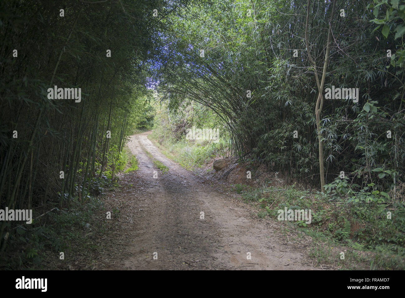 Strada sterrata alla fattoria Foto Stock