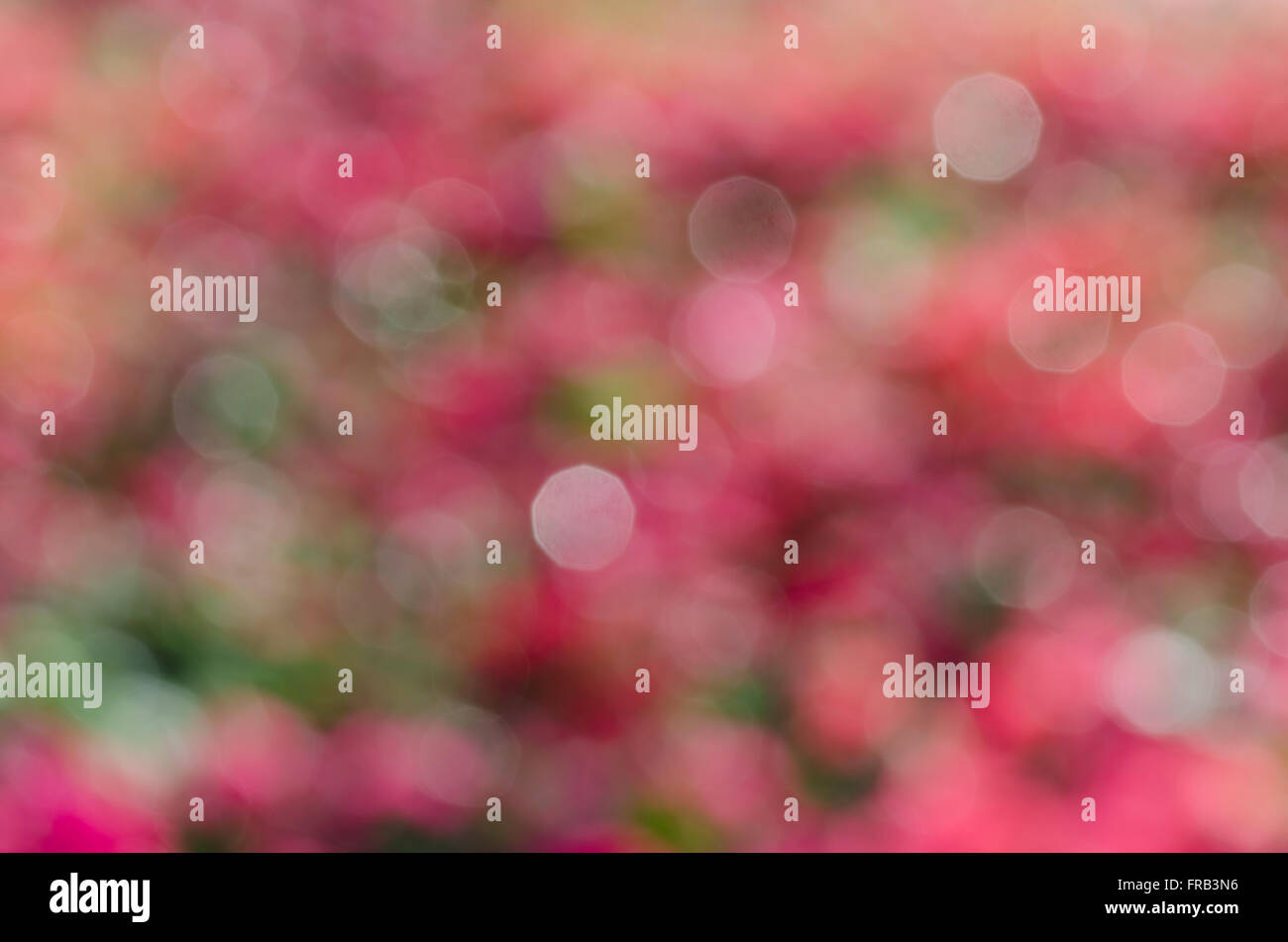 Sfocati luci bokeh di fondo Foto Stock