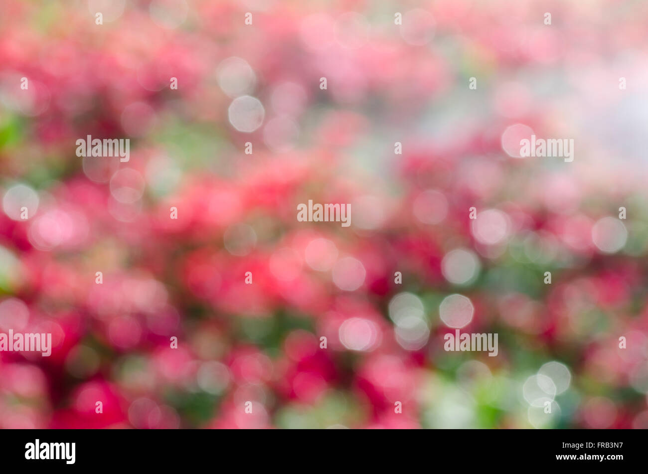 Sfocati luci bokeh di fondo Foto Stock