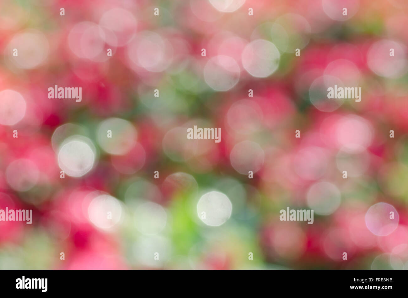 Sfocati luci bokeh di fondo Foto Stock