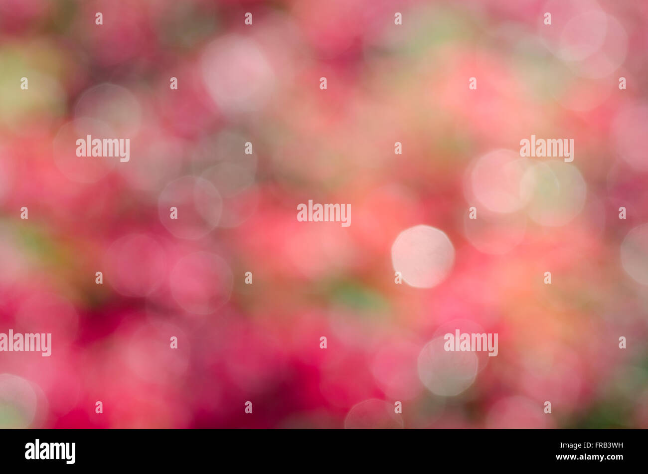 Sfocati luci bokeh di fondo Foto Stock