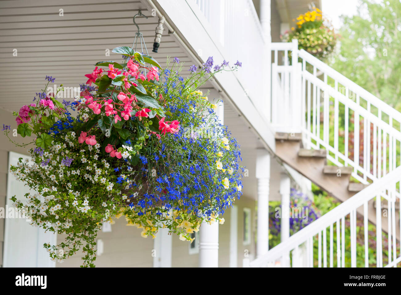 Colorato appese cesto fiorito decorare esterno della casa. Foto Stock
