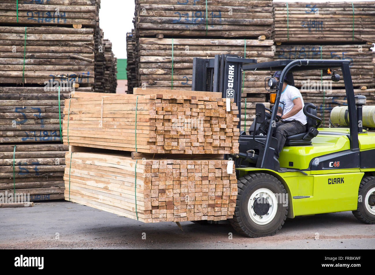 Carrello spostato il gas nella trasformazione di piantati industria del legno - albero del teck Foto Stock