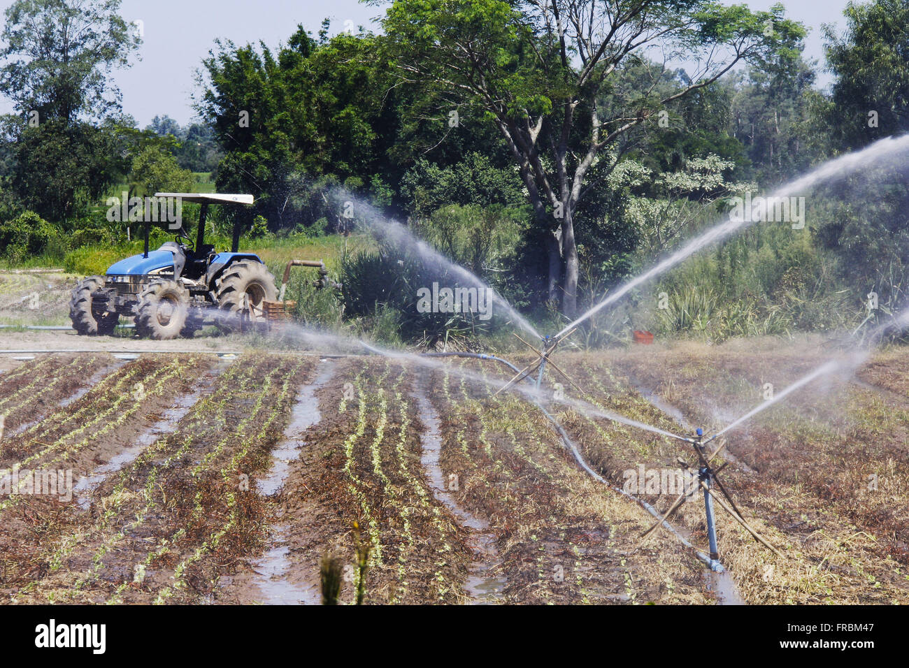 Irrigazione pompa azionata da trattore giardino lattuga nel distretto di Tres Barras Foto Stock