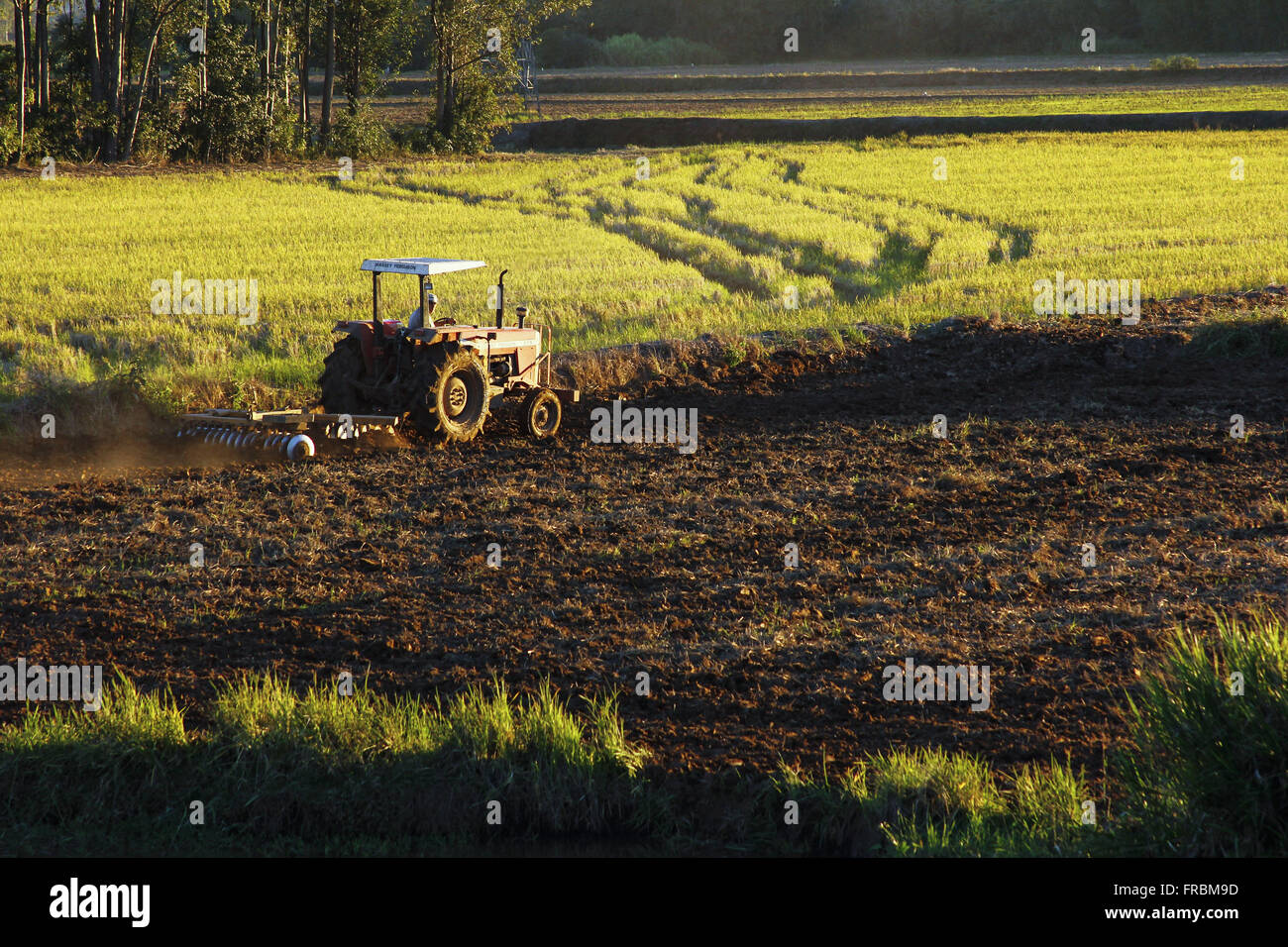Preparazione del terreno per la semina con macchina agricola Foto Stock