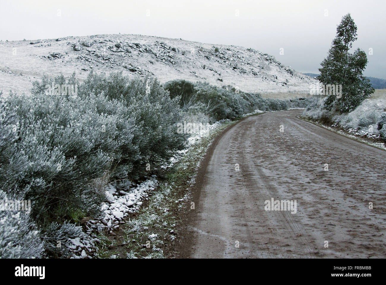Strada sterrata tra i campi innevati - Serra Gaucha Foto Stock
