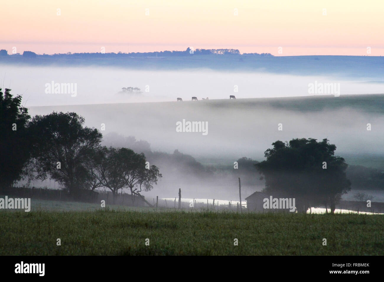 Paesaggio rurale all'alba con la nebbia Foto Stock
