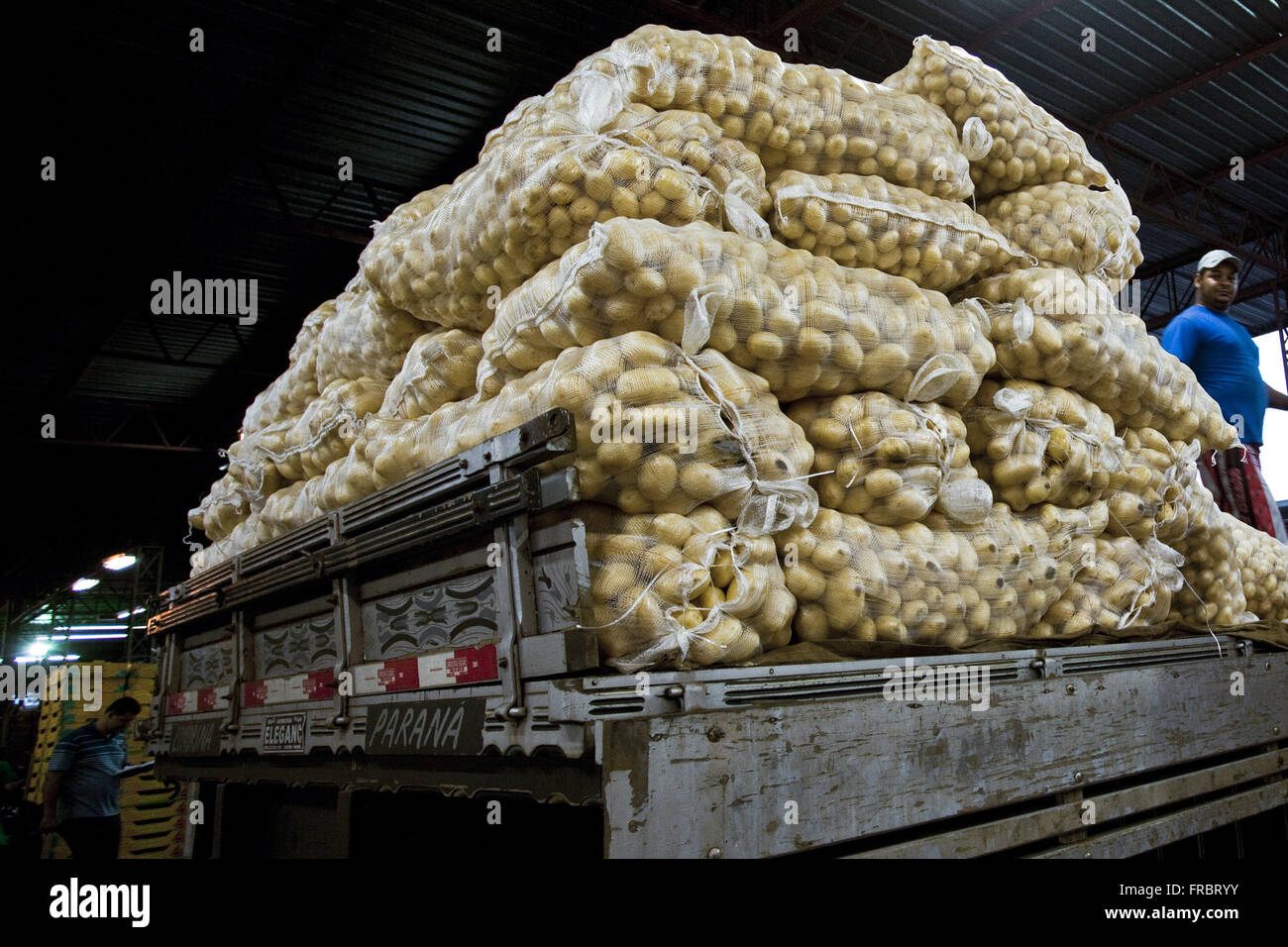 Corpo del carrello caricato con sacchi di patate in Ceasa durante la notte Foto Stock