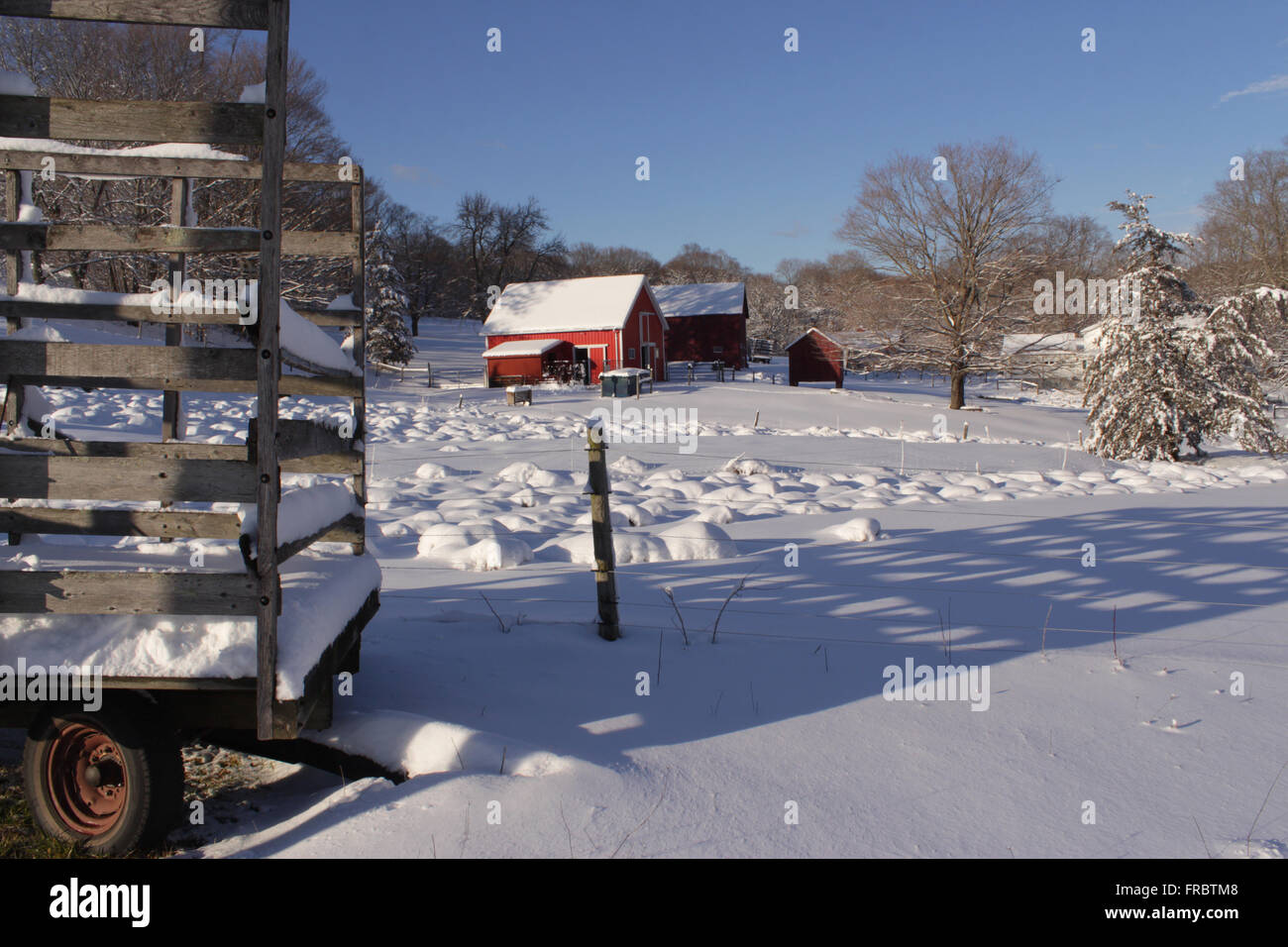 Nevicata a Dragonfly Farm, a nord di Guilford, Connecticut - Febbraio, 2016 Foto Stock