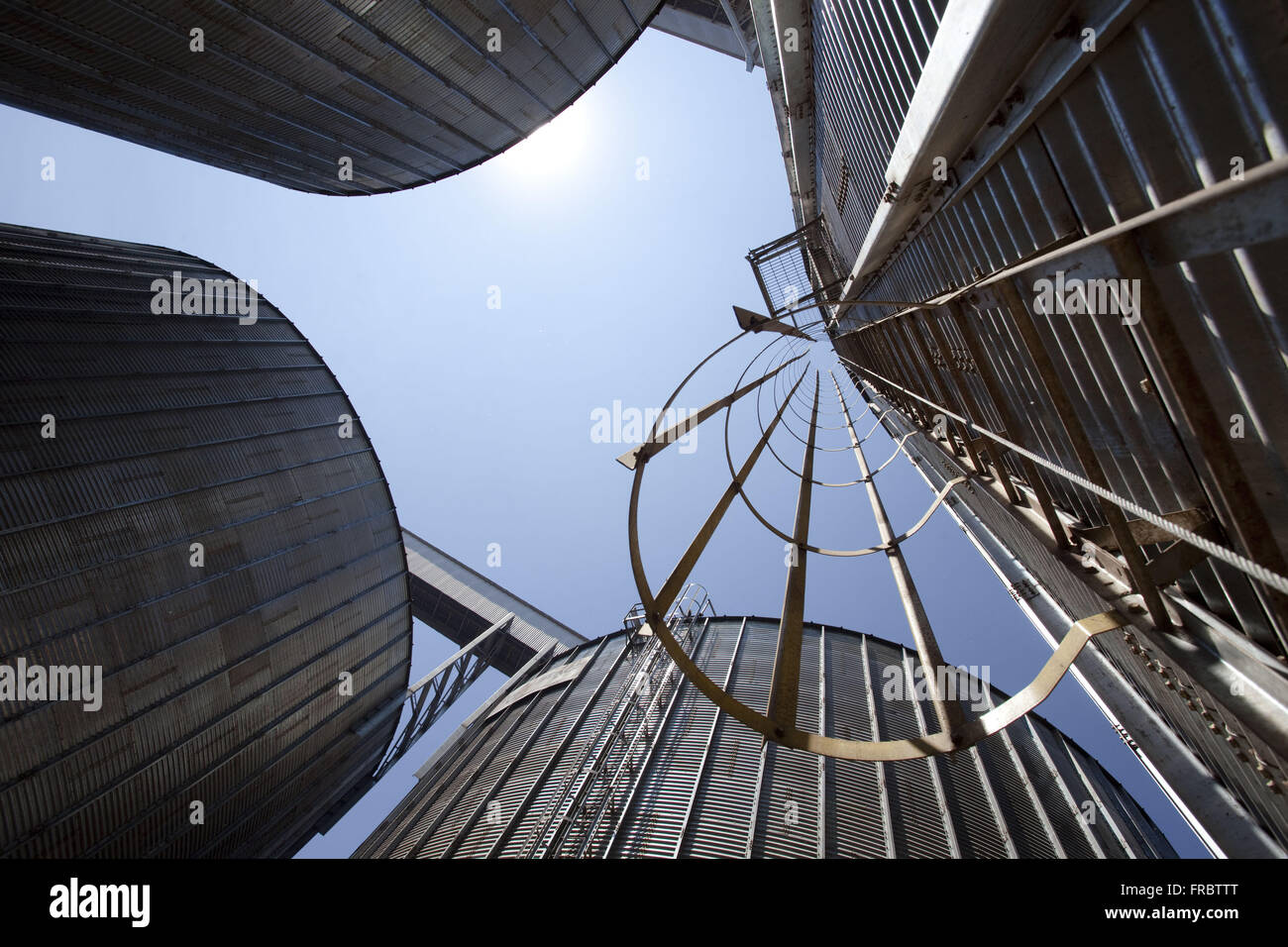 Silos di stoccaggio, - granella di mais, di soia e di frumento - una cooperativa city Foto Stock