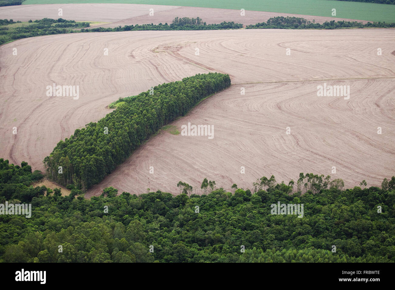 Campagna con area coltivata e area con conserva di foresta nativa Foto Stock