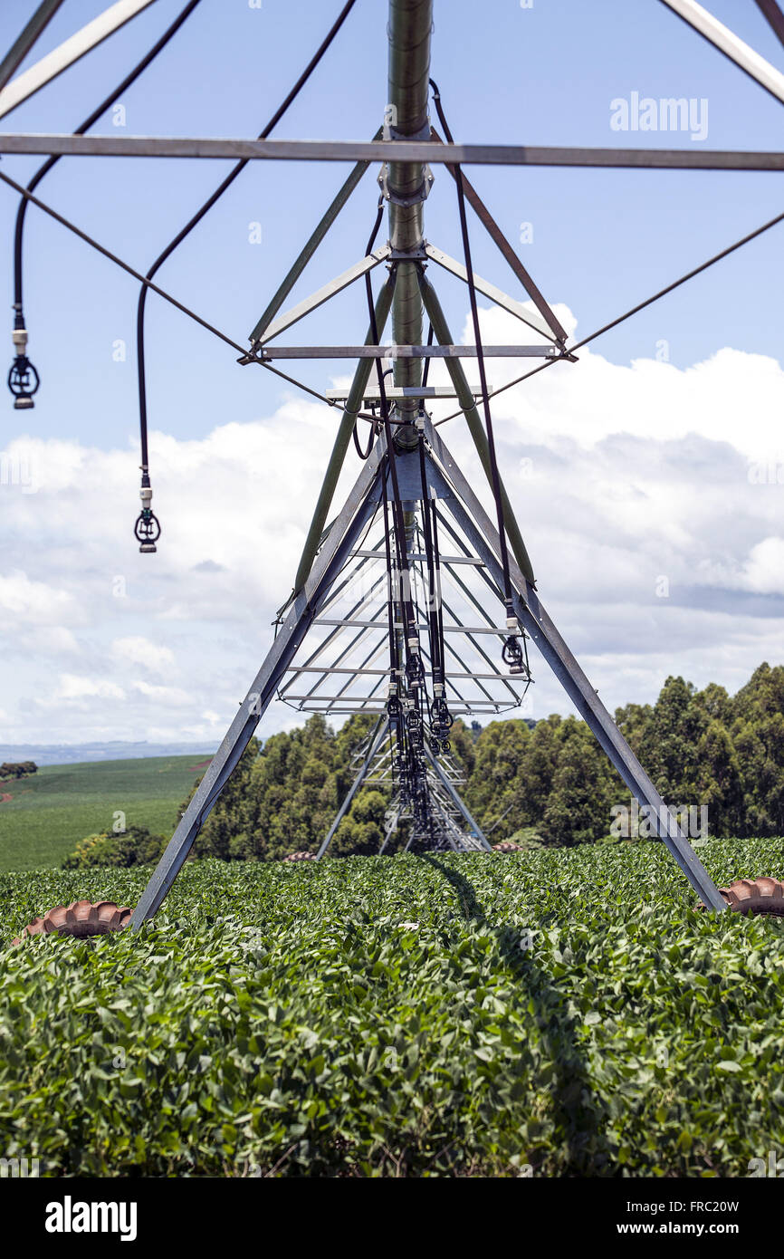 Irrigato campo di soia con centro di rotazione in campagna Foto Stock
