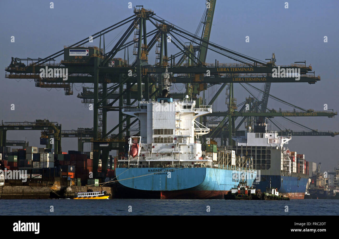 Le navi da carico al posto di ormeggio nel porto di Santos - Canale Santos Foto Stock