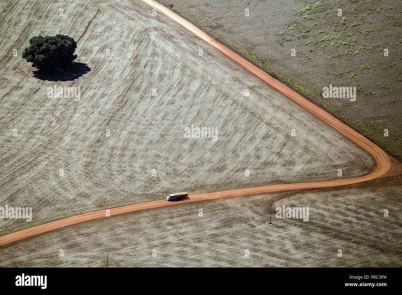 Vista aerea del camion che trasportano i semi di soia per la raccolta meccanica Foto Stock