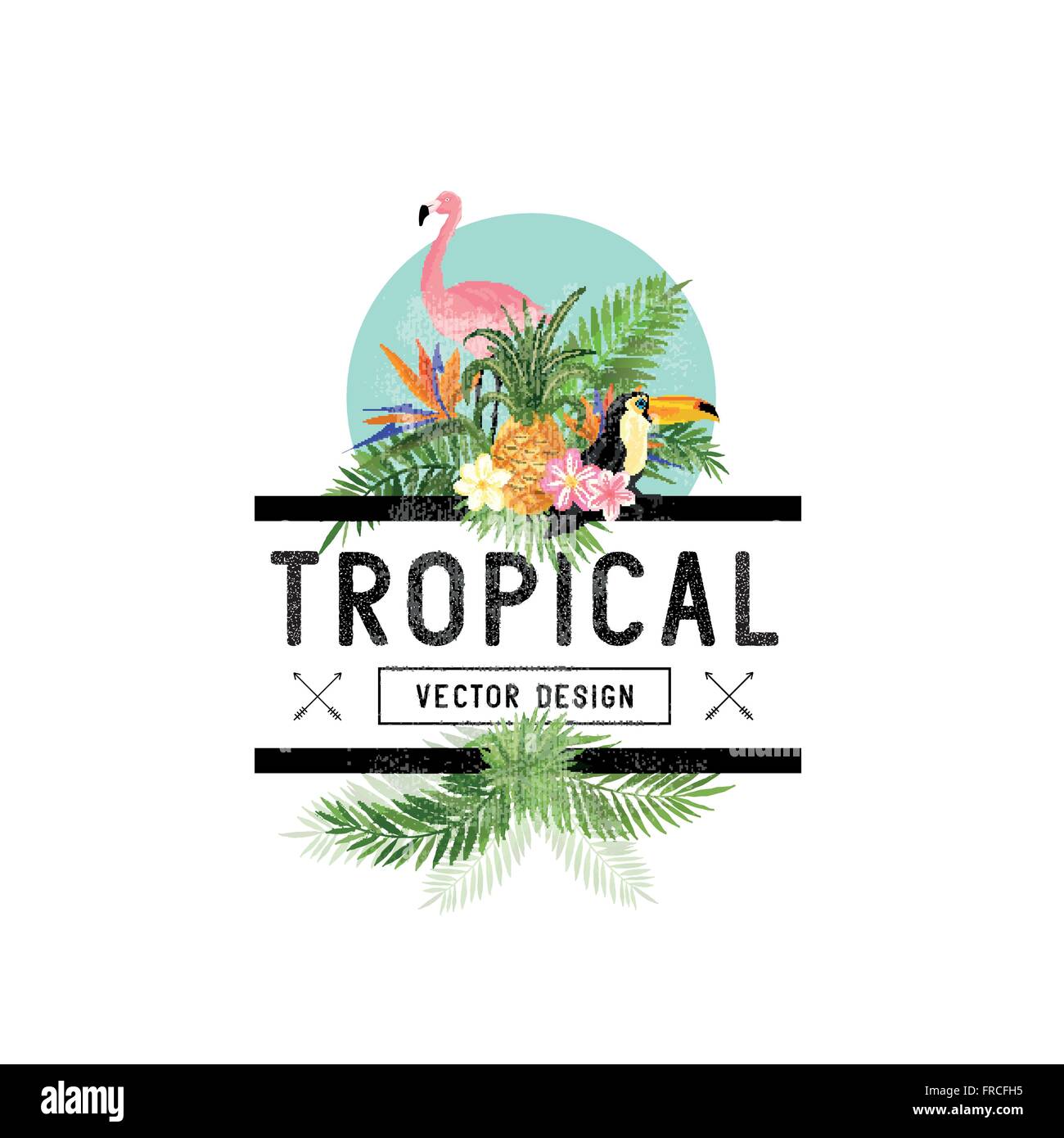 Design tropicale elementi. Vari oggetti tropicali compresi Toucan bird, ananas e foglie di palmo. Illustrazione Vettoriale