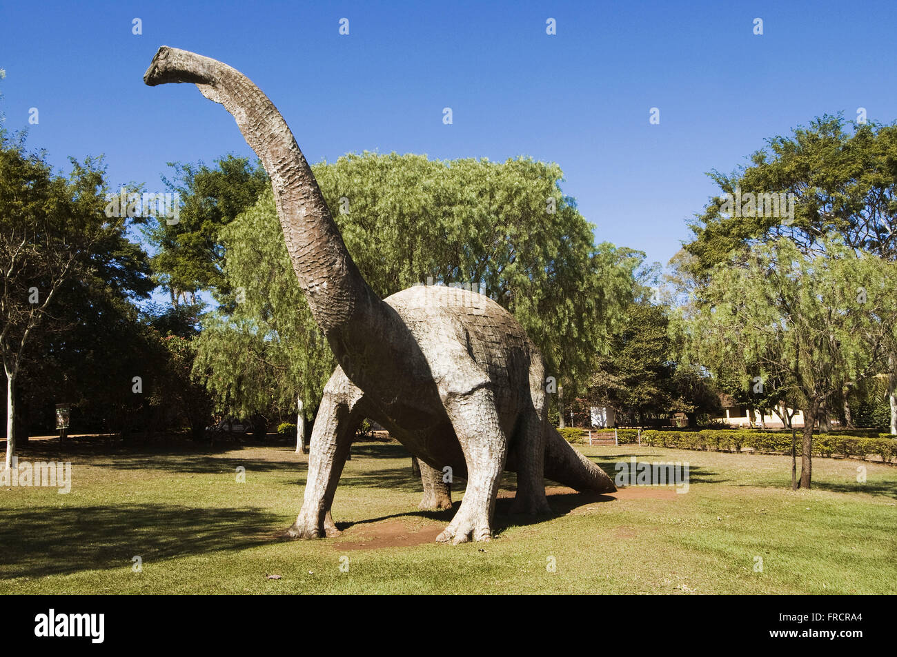 Replica di Uberabatitan ribeiroi - sauropod dinosaur dalla fine del periodo Cretaceo Foto Stock
